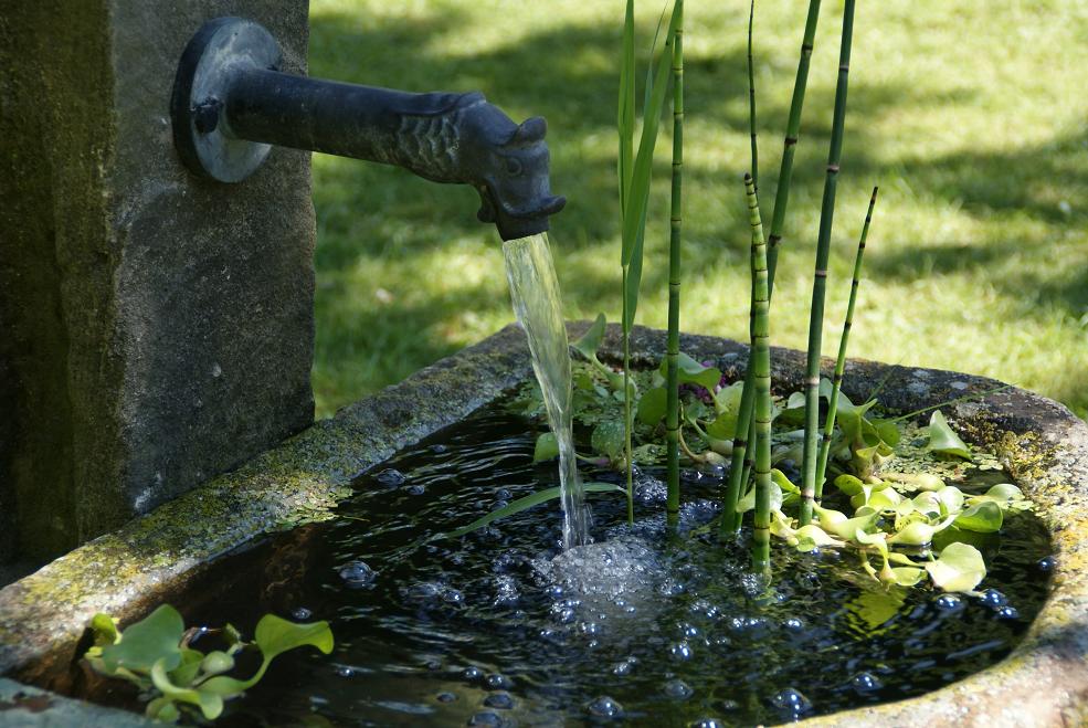 Brunnen-Teich