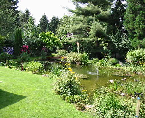 Gartenteich Gartenteich