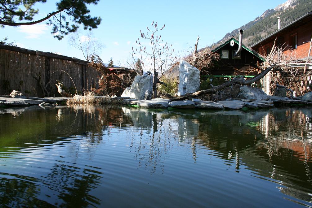 Teich-im-Winter