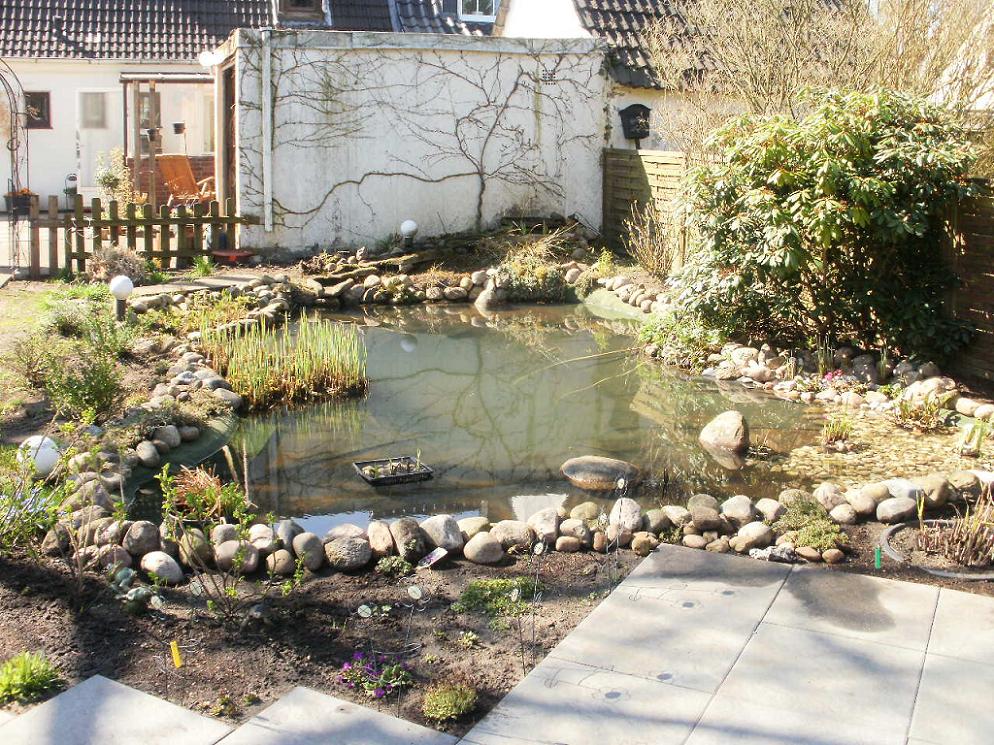 Teichrand Kieselsteine