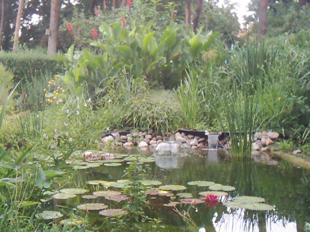 Wasserfall-mit-Seerosen