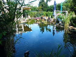 Reiher Teich Reiher Teich