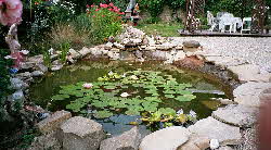 Runder-Teich-1 Runder-Teich-1