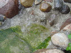 Wasserlauf Teich Wasserlauf Teich