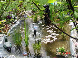 kleine-idylle-1 kleine-idylle-1