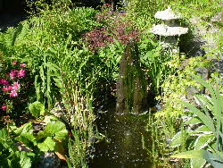 kleiner-teich-1 kleiner-teich-1